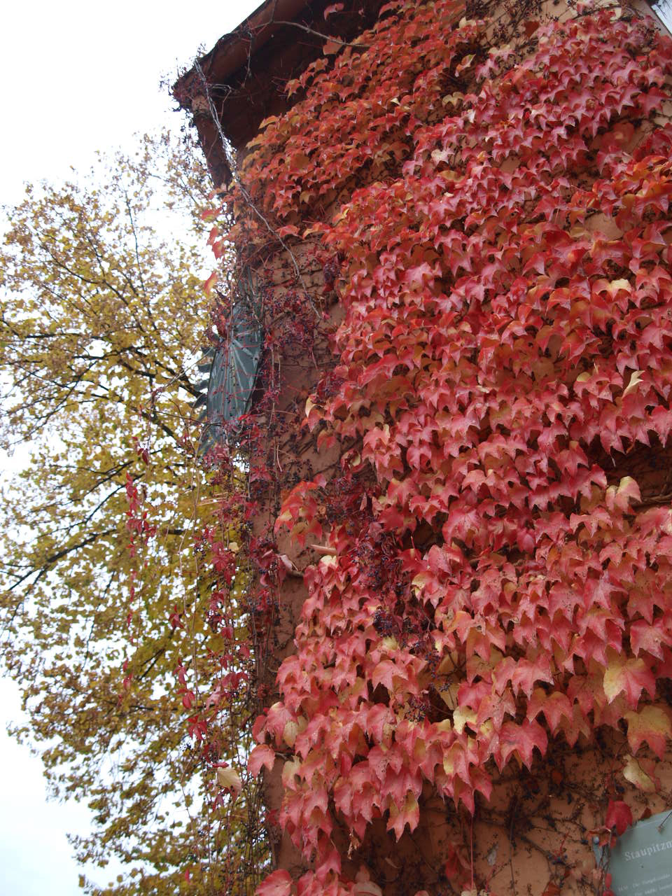 Döbeln Stadtrundgang Treibhaus